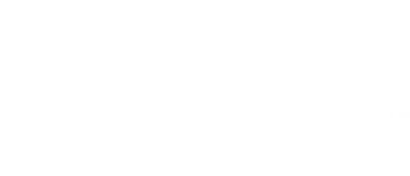 Vivani Footer Logo